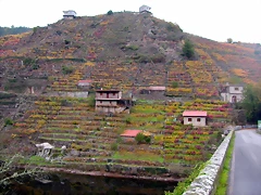 DSCN0181 DSCN0181