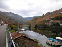 DSCN0211 DSCN0211