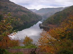 DSCN0243