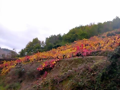 DSCN0176 DSCN0176