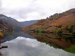 DSCN0214 DSCN0214