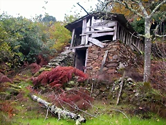 DSCN0245