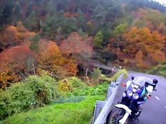 DSCN0316