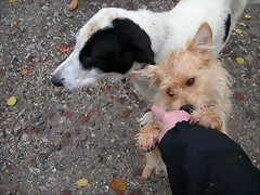 DSCN0130 DSCN0130