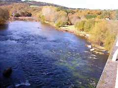 DSCN0139 DSCN0139
