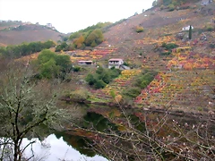 DSCN0195 DSCN0195