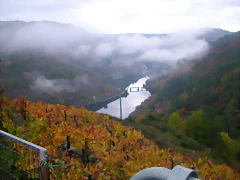 DSCN0318