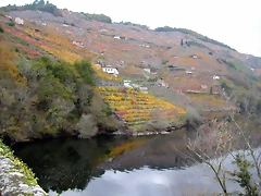 DSCN0180 DSCN0180