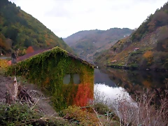 DSCN0188 DSCN0188