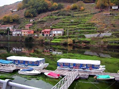 DSCN0210 DSCN0210
