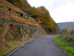 DSCN0222 DSCN0222