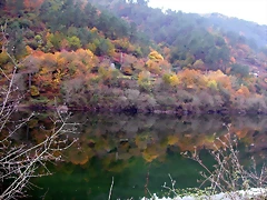 DSCN0235 DSCN0235