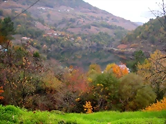 DSCN0242