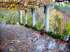 DSCN0300