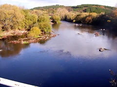 DSCN0138 DSCN0138