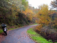 DSCN0248