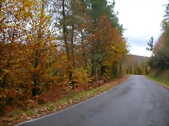 DSCN0259
