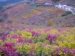 DSCN0273