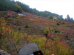 DSCN0304