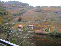 DSCN0205 DSCN0205