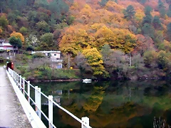DSCN0239 DSCN0239