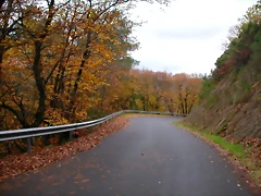 DSCN0256