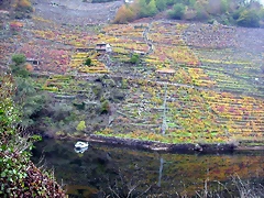 DSCN0193 DSCN0193