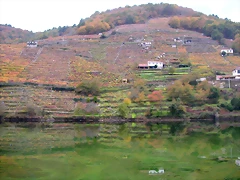 DSCN0216 DSCN0216