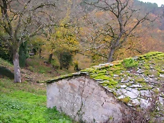DSCN0269