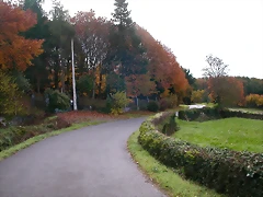 DSCN0104 DSCN0104