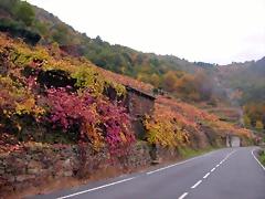 DSCN0187 DSCN0187