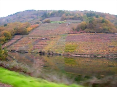 DSCN0221 DSCN0221