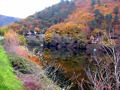 DSCN0234 DSCN0234