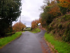 DSCN0266