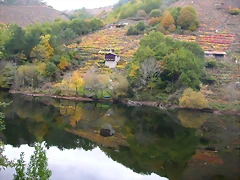 DSCN0198 DSCN0198