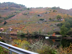 DSCN0203 DSCN0203