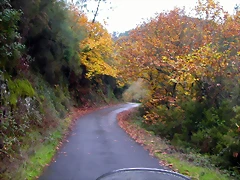 DSCN0247
