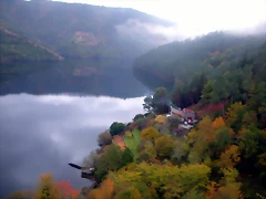 DSCN0310