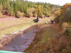 DSCN0154 DSCN0154