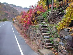 DSCN0189 DSCN0189