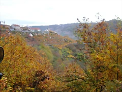 DSCN0250