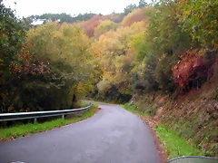 DSCN0254