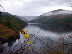 DSCN0301