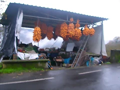 DSCN0319