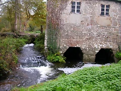 DSCN0116 DSCN0116
