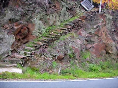 DSCN0237 DSCN0237