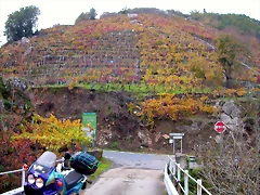 DSCN0240