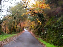 DSCN0263
