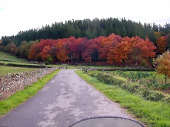 DSCN0102 DSCN0102