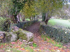 DSCN0112 DSCN0112